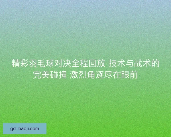 精彩羽毛球对决全程回放 技术与战术的完美碰撞 激烈角逐尽在眼前
