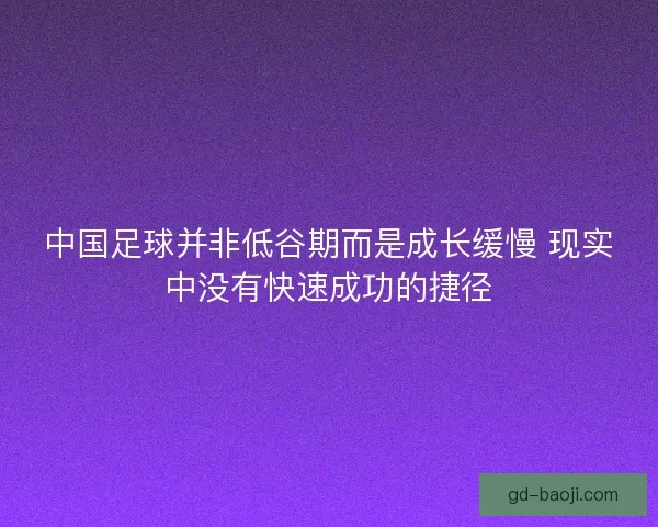 中国足球并非低谷期而是成长缓慢 现实中没有快速成功的捷径